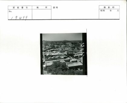 城市鸟瞰绿荫建筑群.jpg