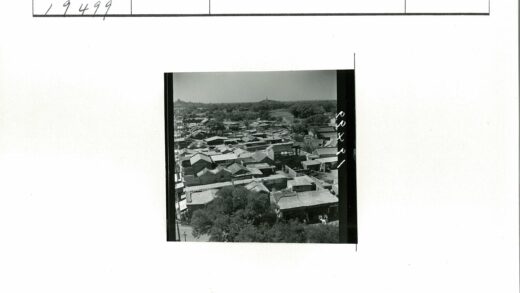 城市鸟瞰绿荫建筑群.jpg