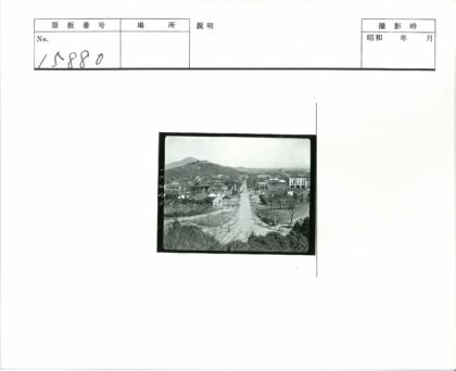 城镇鸟瞰道路树木建筑山景.jpg