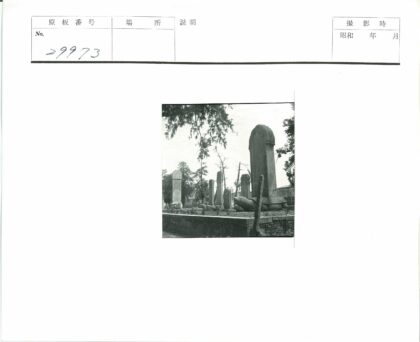 墓地乌龟雕塑与石墙景观.jpg