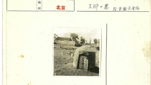 墓地墓碑与树墙背景.jpg