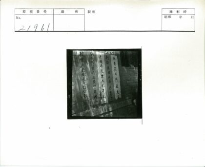 墙上手写中文横幅老树遮挡.jpg