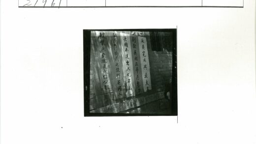 墙上手写中文横幅老树遮挡.jpg