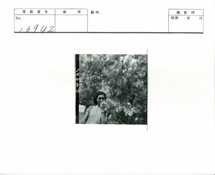 墨镜男子与白花树户外景.jpg