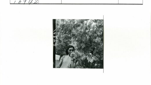 墨镜男子与白花树户外景.jpg