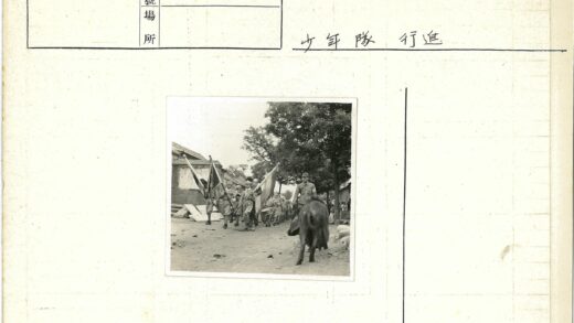 士兵与猪的乡村行军.jpg