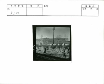 士兵与羊群沿铁轨行进.jpg