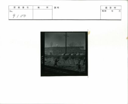 士兵与羊群沿铁轨行进.jpg