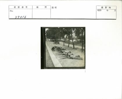 士兵森林战术训练实拍.jpg