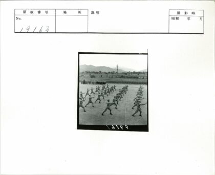 士兵武术训练与自然背景.jpg