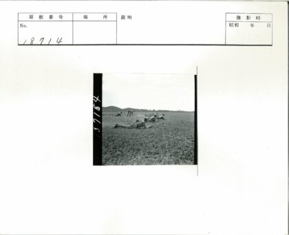 士兵田野步枪训练旧影.jpg