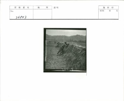 士兵石墙后瞄准田野远山.jpg