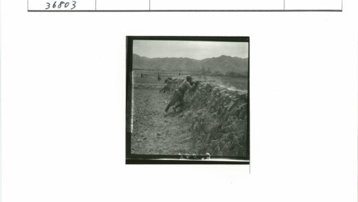士兵石墙后瞄准田野远山.jpg