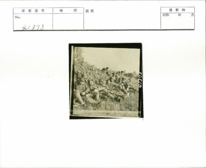 士兵草地休整户外植被.jpg