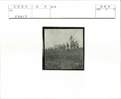 士兵草地远指阴天树林.jpg