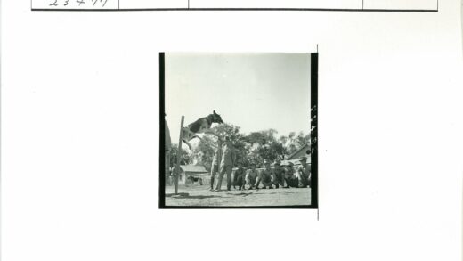 士兵训练区军犬跨越障碍.jpg