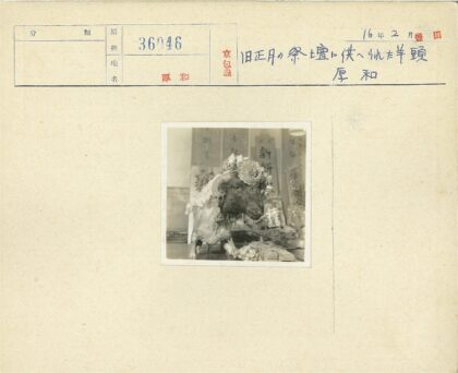 复古动物标本花冠装饰展示.jpg