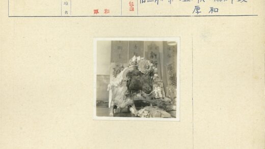 复古动物标本花冠装饰展示.jpg