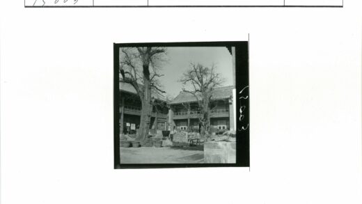 复古庭院冬景与瓦顶建筑.jpg