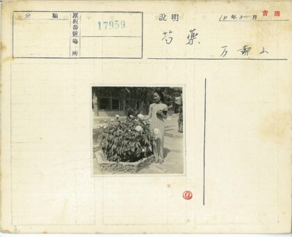 复古庭院女子与鲜花花盆.jpg