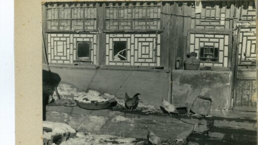 复古建筑前鸡群啄食图.jpg