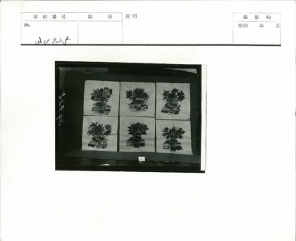 复古手绘花卉盆栽布片集.jpg