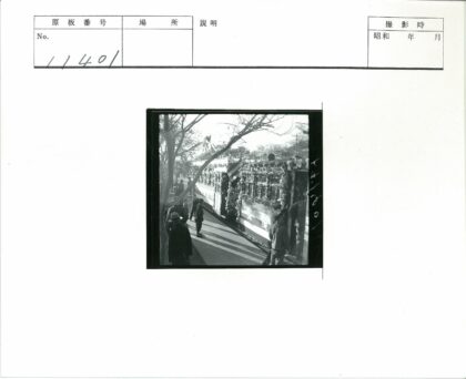 复古有轨电车与林荫街道.jpg
