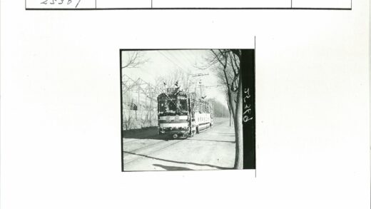 复古有轨电车绿荫街道行驶.jpg