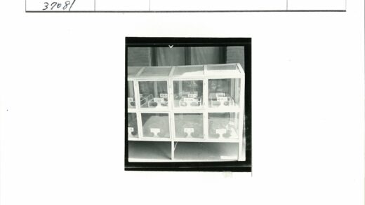 复古玻璃展示柜与砖墙.jpg
