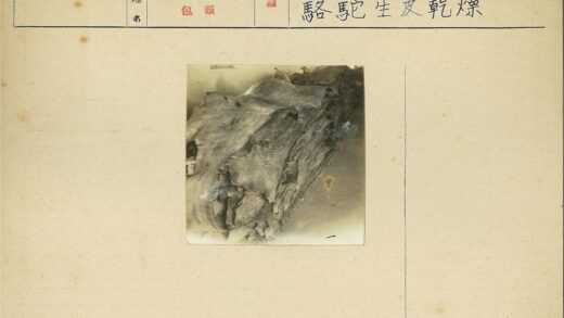 复古皮革纹理特写.jpg