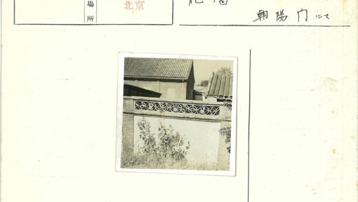 复古砖墙与绿植建筑景观.jpg
