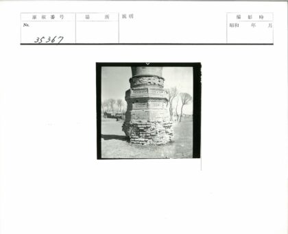 复古砖结构建筑底部特写与枯树草地.jpg