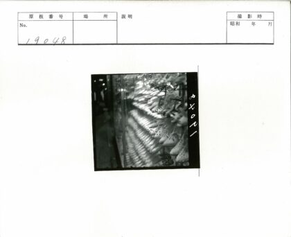 复古芭蕾舞鞋橱窗展示.jpg