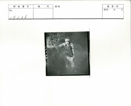 复古花卉泳衣泳者池中畅游.jpg
