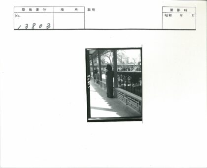 复古走廊凭栏远眺建筑与绿树.jpg