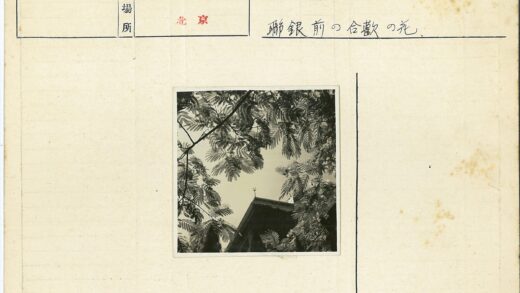 复叶树枝与屋顶建筑剪影.jpg