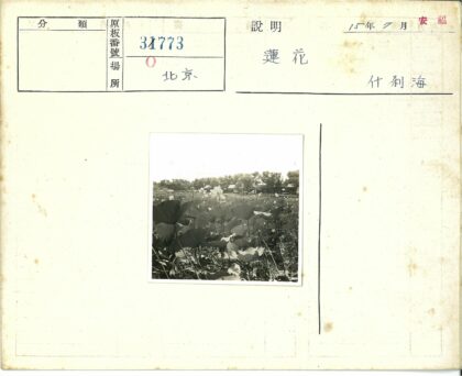 夏日荷塘绿荫木屋景.jpg