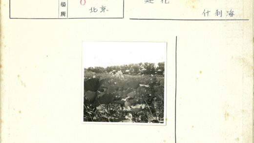 夏日荷塘绿荫木屋景.jpg