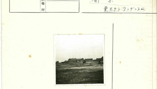 多云天空下两匹马吃草传统建筑背景.jpg