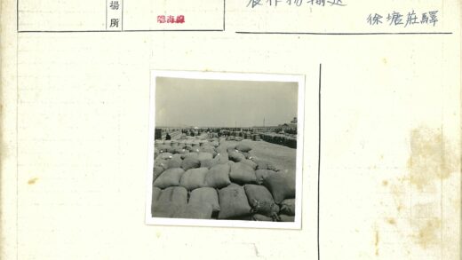 多云天空下人群远望麻袋堆.jpg