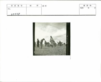 多云天空下农民田间劳作.jpg