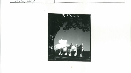 多云天空下华丽柱门树冠景.jpg