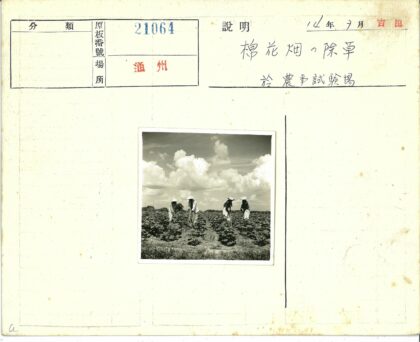 多云天空下四人劳作.jpg