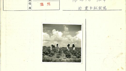 多云天空下四人劳作.jpg
