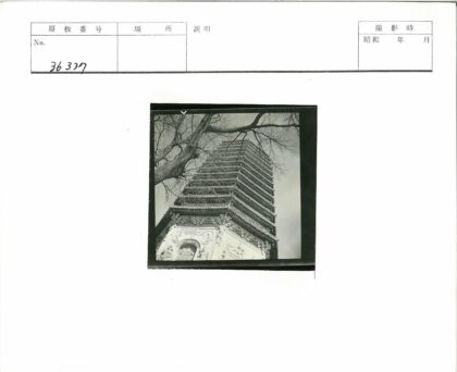 多云天空下宝塔与枯枝剪影.jpg