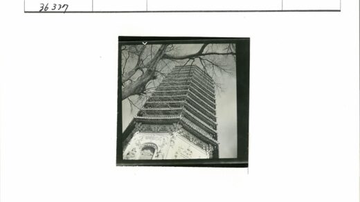 多云天空下宝塔与枯枝剪影.jpg