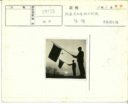 多云天空下持旗剪影枯树背景.jpg