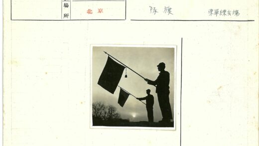 多云天空下持旗剪影枯树背景.jpg