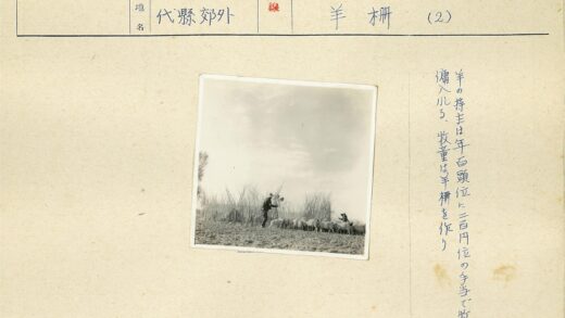 多云天空下放羊人.jpg