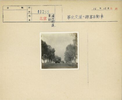 多云天空下林荫道行驶的公交车.jpg